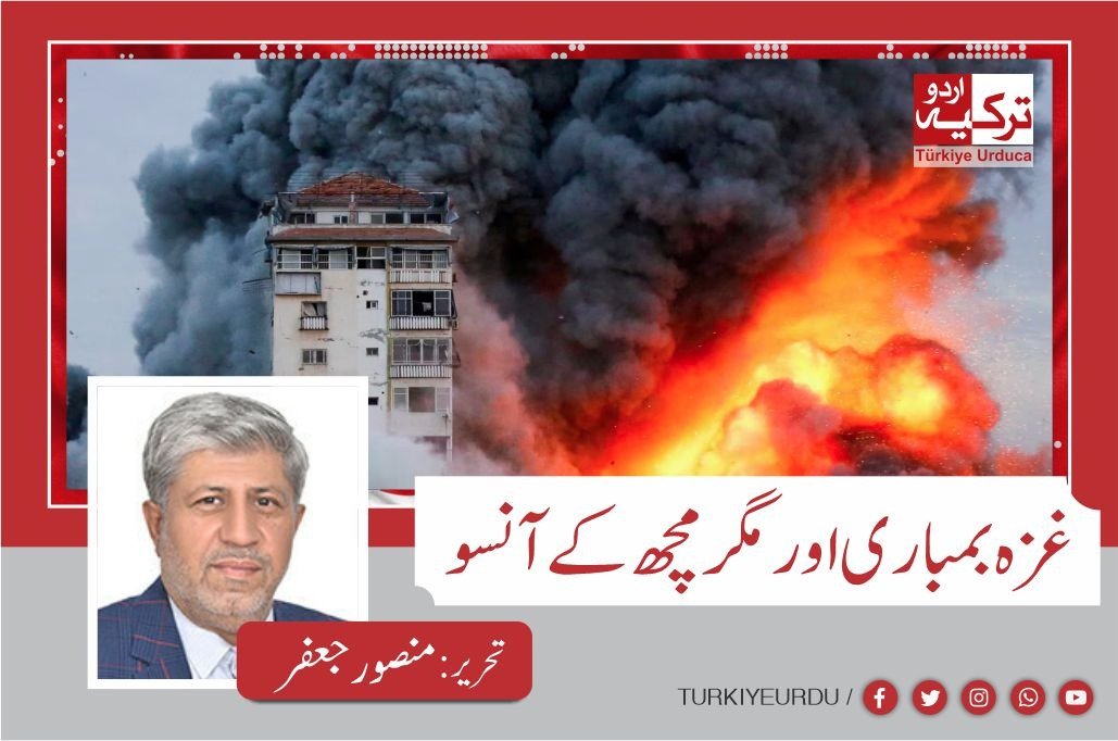 غزہ بمباری اور مگرمچھ کے آنسو