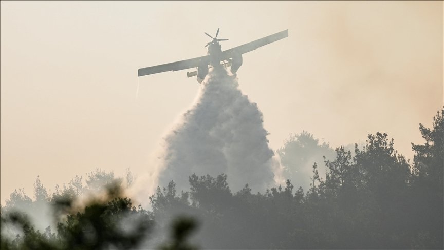 ترکیہ کے جنگلات میں آگ لگنے سے 12 افراد سمیت سیکڑوں جانور بھی ہلاک