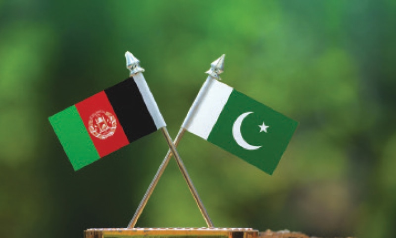 افغان حکومت: پاکستان کے ساتھ برادرانہ تعلقات چاہتے ہیں، کشیدگی کسی کے مفاد میں نہیں<br>