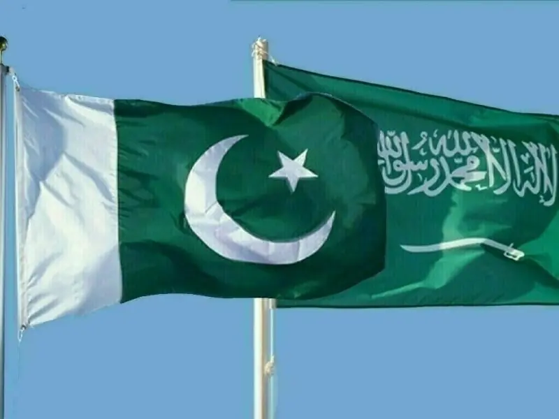 پاکستان نے سعودی سرمایہ کاروں کے سامنے 28 ارب ڈالر سے زائد کے منصوبے پیش کر دیے