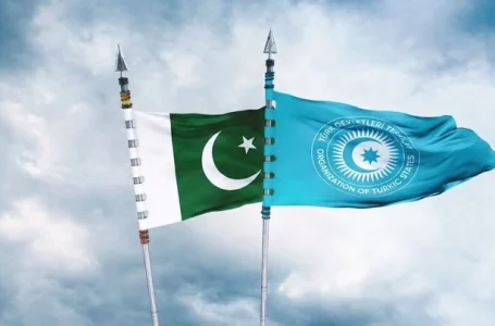 پاکستان کو ترک ریاستوں کی تنظیم کا رکن ہونا چاہیے،ترک پارلیمنٹیرین علی شاہین